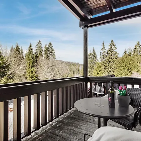 Waldglueck Apartment Hinterzarten