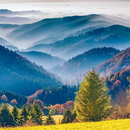 Waldglueck Appartement