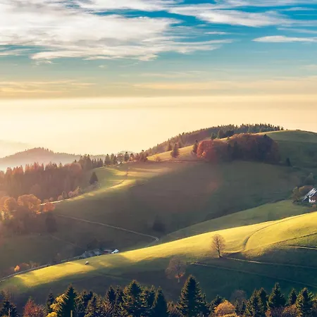 Waldglueck * Hinterzarten
