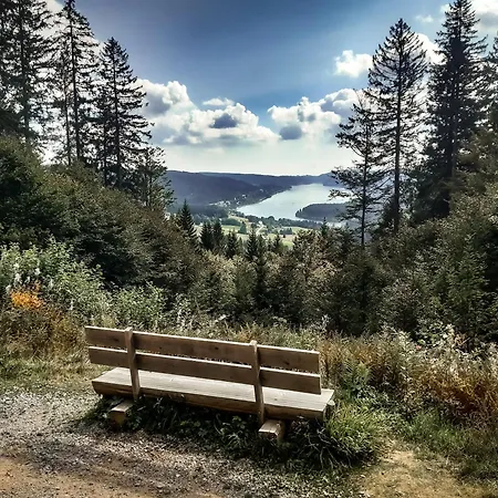 Appartement Waldglueck *