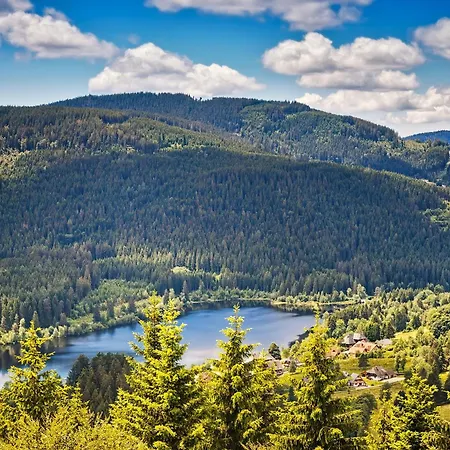 Διαμέρισμα Waldglueck *