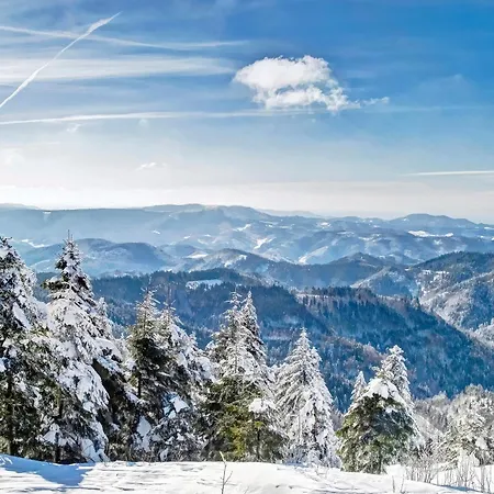 Waldglueck Διαμέρισμα *