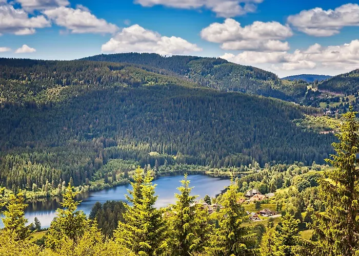 Apartament Waldglueck *