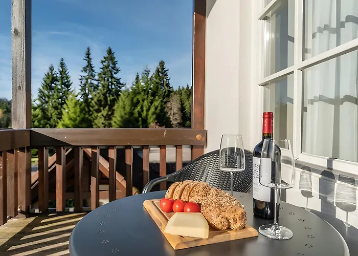 Waldglueck Hinterzarten