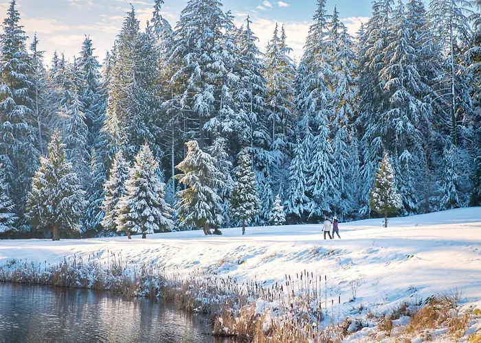 Waldglueck Apartament