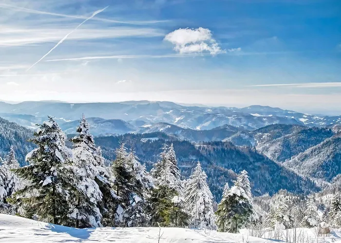 Waldglueck Apartament *